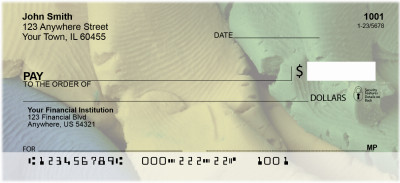 Play Dough Personal Checks | EDU-03