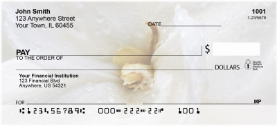 Wonder In White Personal Checks | FLO-54