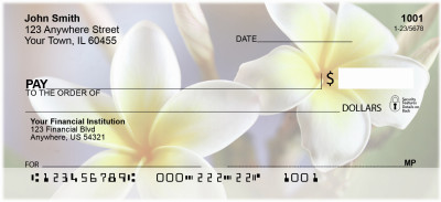 Plumeria Personal Checks | FLO-68