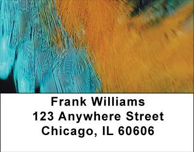 Fun Feathers Address Labels | LBABS-05