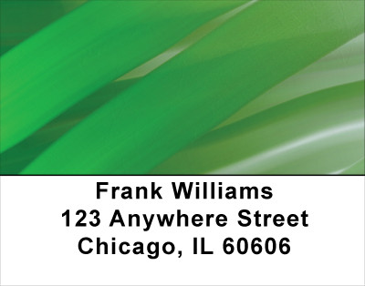 Depths Of Green Address Labels | LBABS-65
