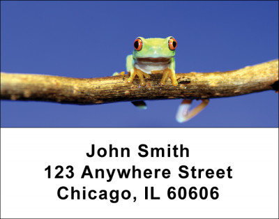 Frogs Address Labels | LBANI-09