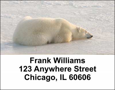Polar Bears Address Labels | LBANI-13