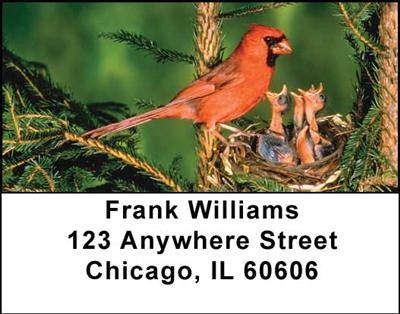 Baby Birds Address Labels | LBANI-16