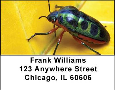 Beetles Address Labels | LBANI-45