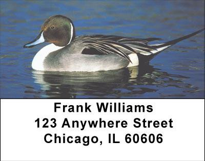Duck Lovers Address Labels | LBANI-66
