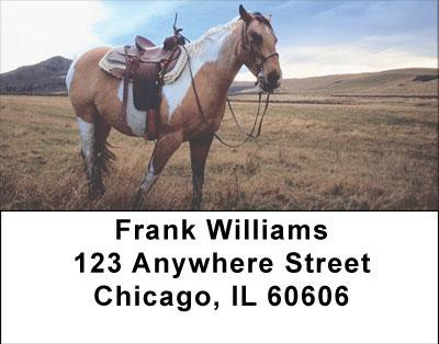 The Empty Saddle Address Labels | LBANI-84