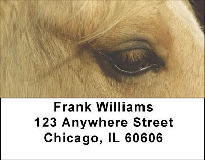 Horses Seeing Eye to Eye Address Labels | LBANI-85