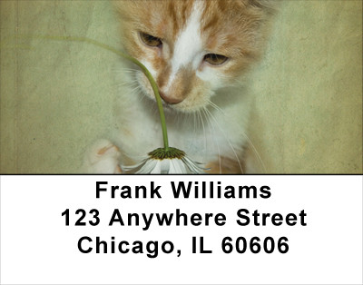 Flowers & Cats Address Labels | LBANJ-11