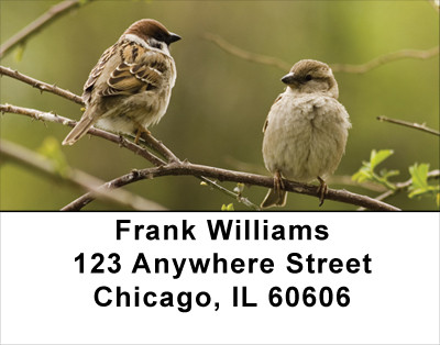 Sparrow In Spring Address Labels | LBANJ-17