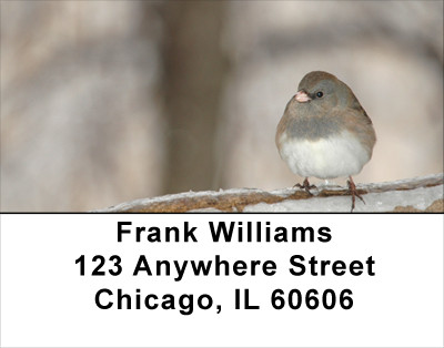 Sparrow In Winter Address Labels | LBANJ-18