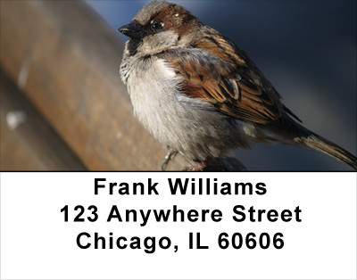 Sparrow Inspirations Address Labels | LBANJ-19
