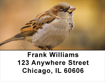 Sparrows At Daybreak Address Labels | LBANJ-21