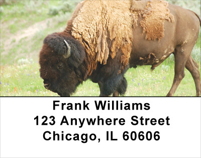 Home On The Range Address Labels | LBANJ-22