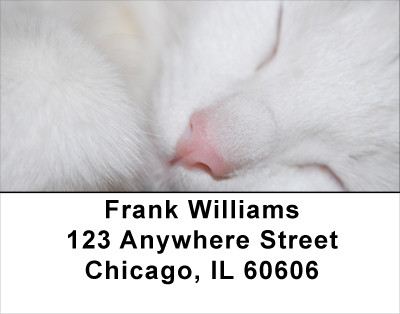 Total Bliss Address Labels | LBANJ-24