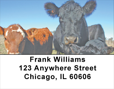 Black Angus Address Labels | LBANJ-29