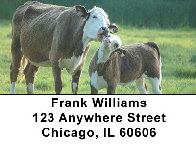 With Baby Calves Address Labels | LBANJ-30