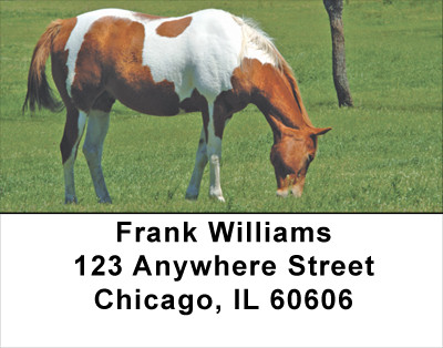 Grazing Green Pastures Horse Address Labels | LBANJ-36