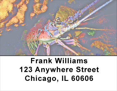 Lobsters In Ocean Bottom Address Labels | LBANJ-40