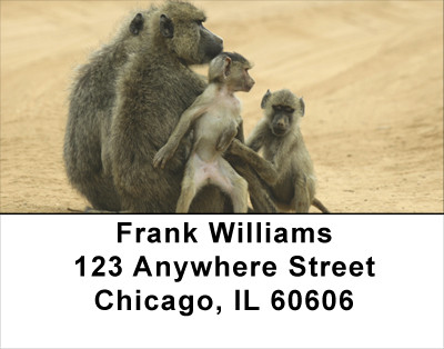 Monkey Days Address Labels | LBANJ-44