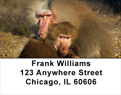 Baboon Business Address Labels | LBANJ-46