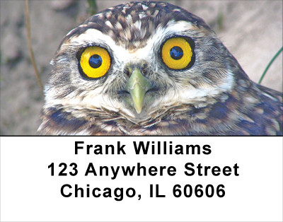 Wise Old Owls Address Labels | LBANJ-50