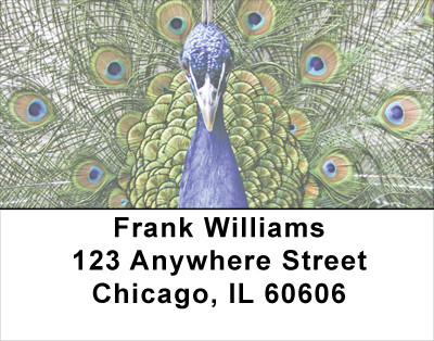 Flaunt It Address Labels | LBANJ-54