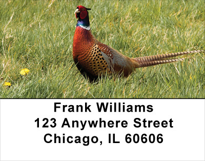 Pheasants Address Labels | LBANJ-56