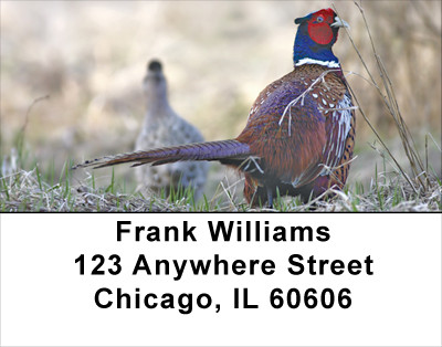 Pheasants In Winter Address Labels | LBANJ-57