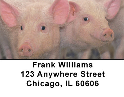 More Pig Address Labels | LBANJ-58