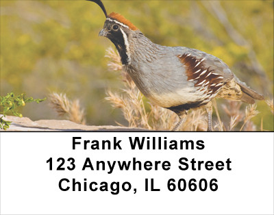 Quail Closeups Address Labels | LBANJ-60