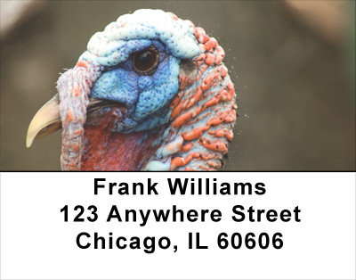 Tom The Turkey Address Labels | LBANJ-81