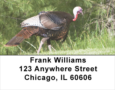 Turkey Treasures Address Labels | LBANJ-82