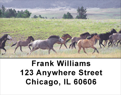 Spanish Mustang Address Labels | LBANK-05