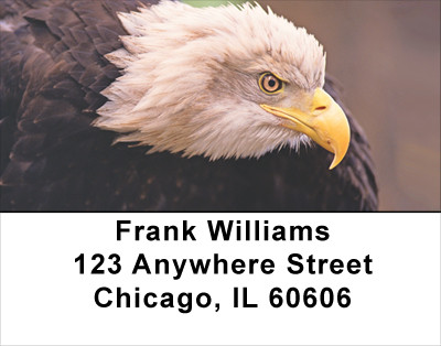 American Eagles Address Labels | LBANK-12