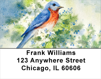 Nesting Birds Address Labels | LBANK-20
