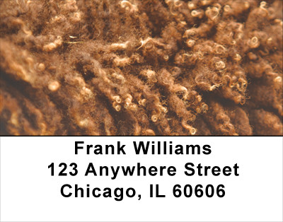 Buffalo Hides Address Labels | LBANK-21