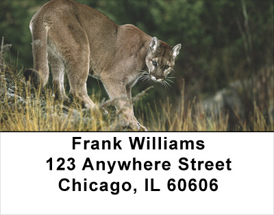 Cougar Address Labels | LBANK-28