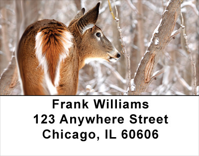 Whitetail Deer Address Labels | LBANK-30