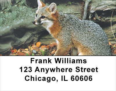 Out Foxed Address Labels | LBANK-40