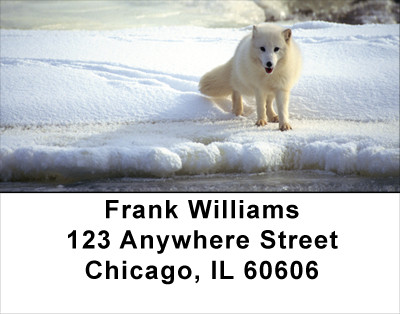 White Fox Address Labels | LBANK-41