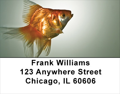 Goldfish Address Labels | LBANK-44
