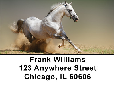 Playful Address Labels | LBANK-49