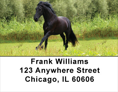 Award Winning Stallions Address Labels | LBANK-51