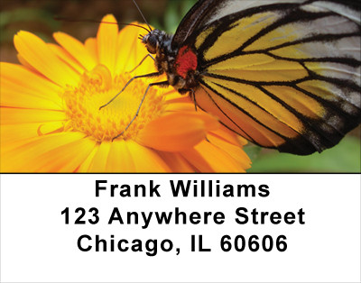 Insects On Flowers Address Labels | LBANK-54