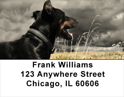 Doberman Address Labels | LBANK-57
