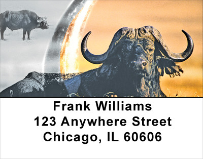 Water Buffalo Address Labels | LBANK-59