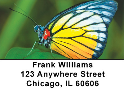 Butterfly Bonanza Address Labels | LBANK-61