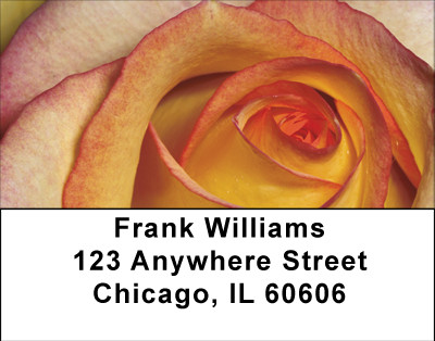Everything Is Coming Up Roses Address Labels | LBBBA-24