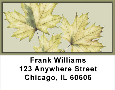 Subtle Fall Elegance Address Labels | LBBBA-25